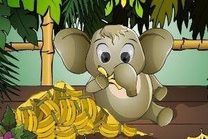 娱乐吃瓜酱小象,揭秘娱乐圈那些不为人知的幕后故事