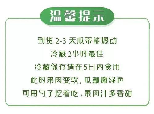 吃瓜大赛文案,吃瓜大赛狂欢盛况大盘点